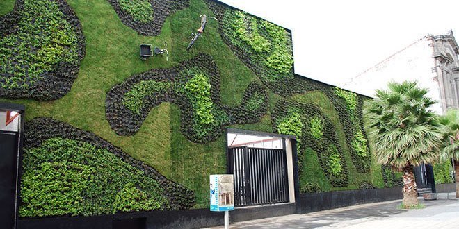 这些惊人的生活墙让我们绿色嫉妒