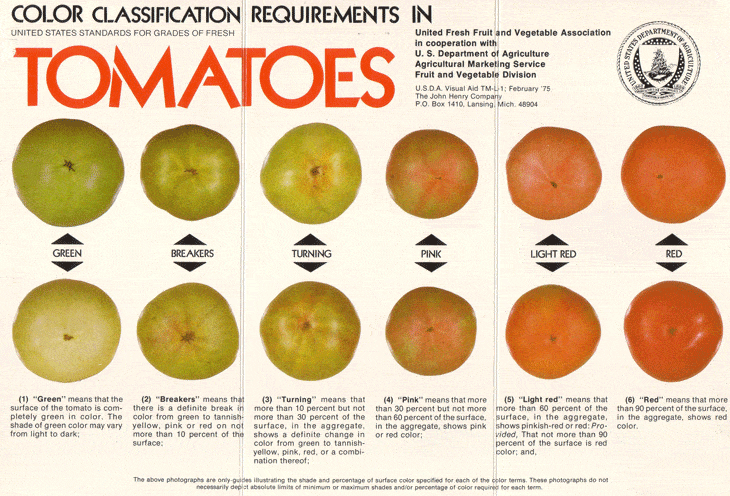 USDA颜色分类图表的番茄成熟度。