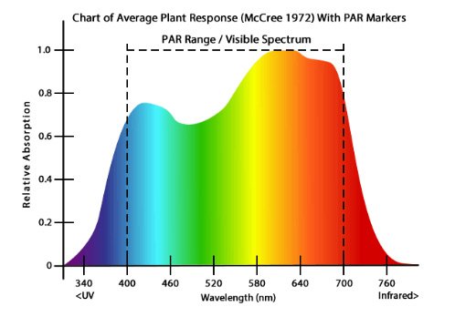 金属卤化物植物对光谱的响应