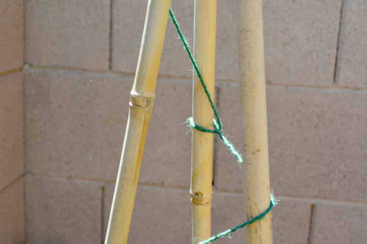 DIY竹和麻绳番茄螺旋