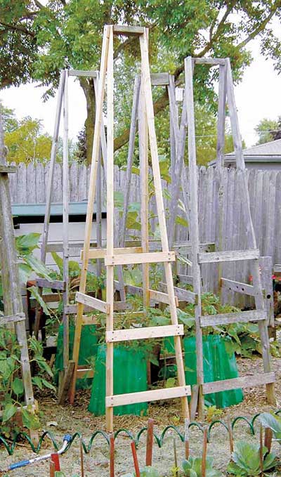 梯子式折叠番茄笼
