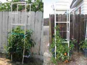PVC番茄笼自水容器花园