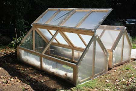 Mini-Greenhouse玻璃罩