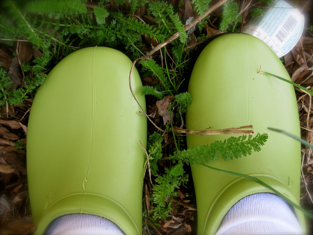 18luck官网登录草地上的园艺鞋