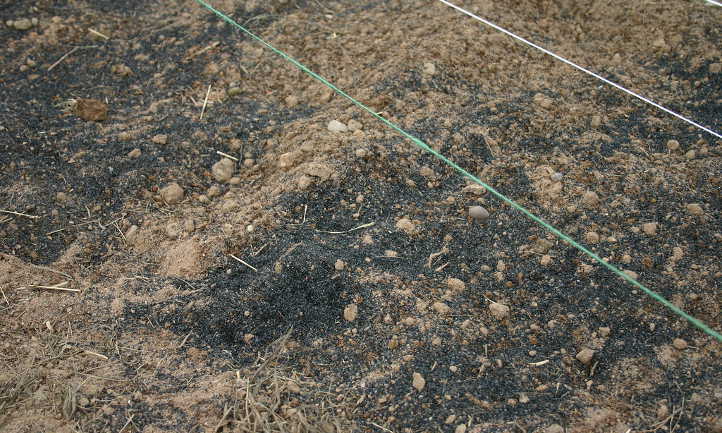 生物炭在土壤中扩散