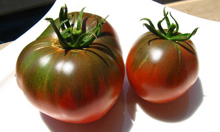 切罗基紫色西红柿