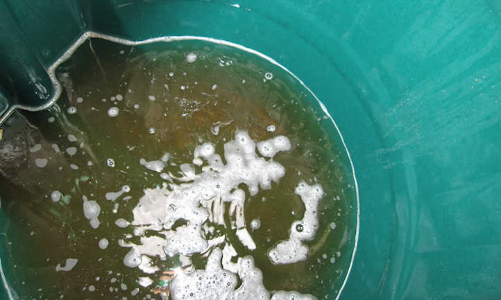 雨水桶里收集的黏液