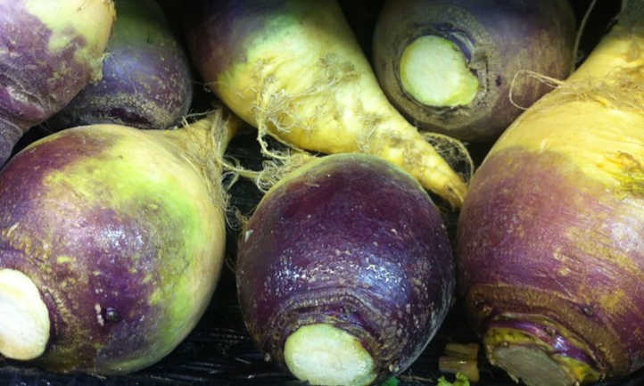 紫色的rutabaga根