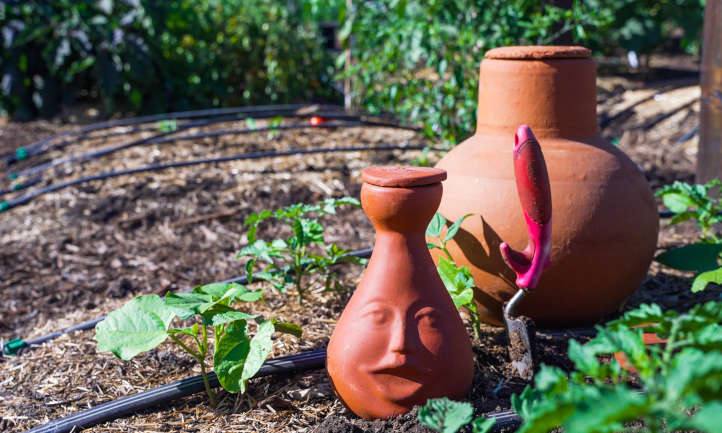 Ollas:用古老的科技灌溉你的花园
