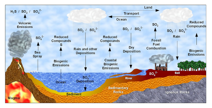 土壤硫循环示意图。