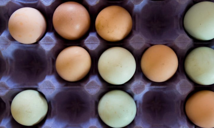 如何保存鸡蛋以备以后使用
