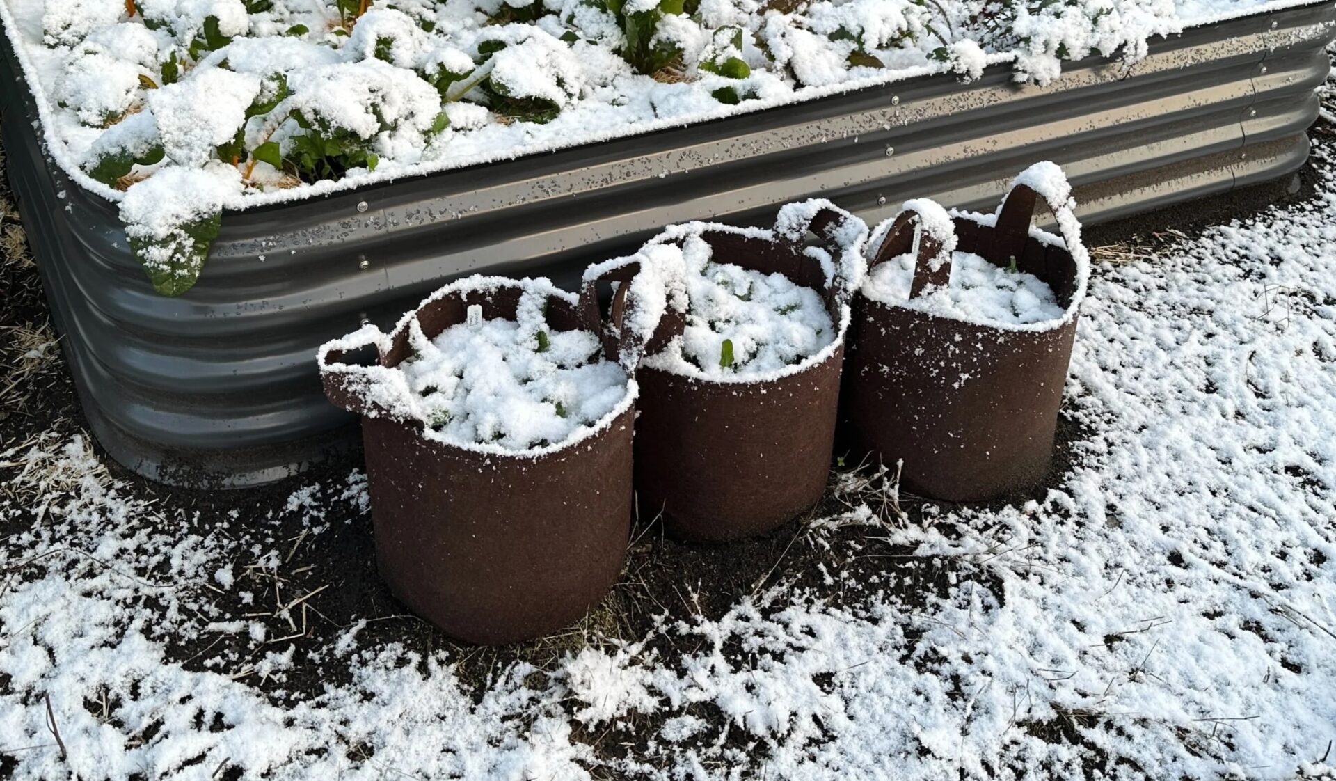 如何使织物罐过冬以延长季节